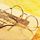 顺丰